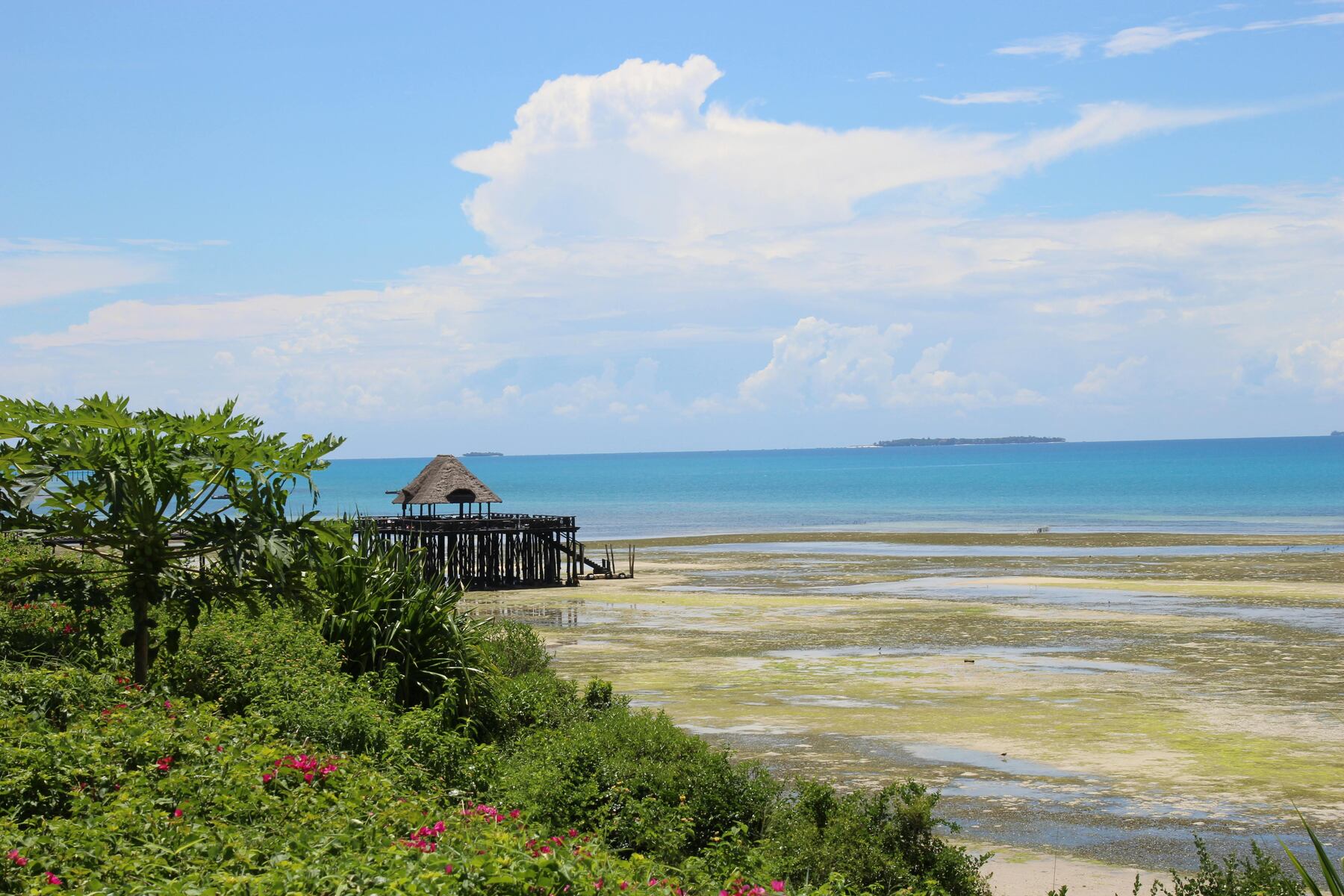 Zanzibar Beach Escapes